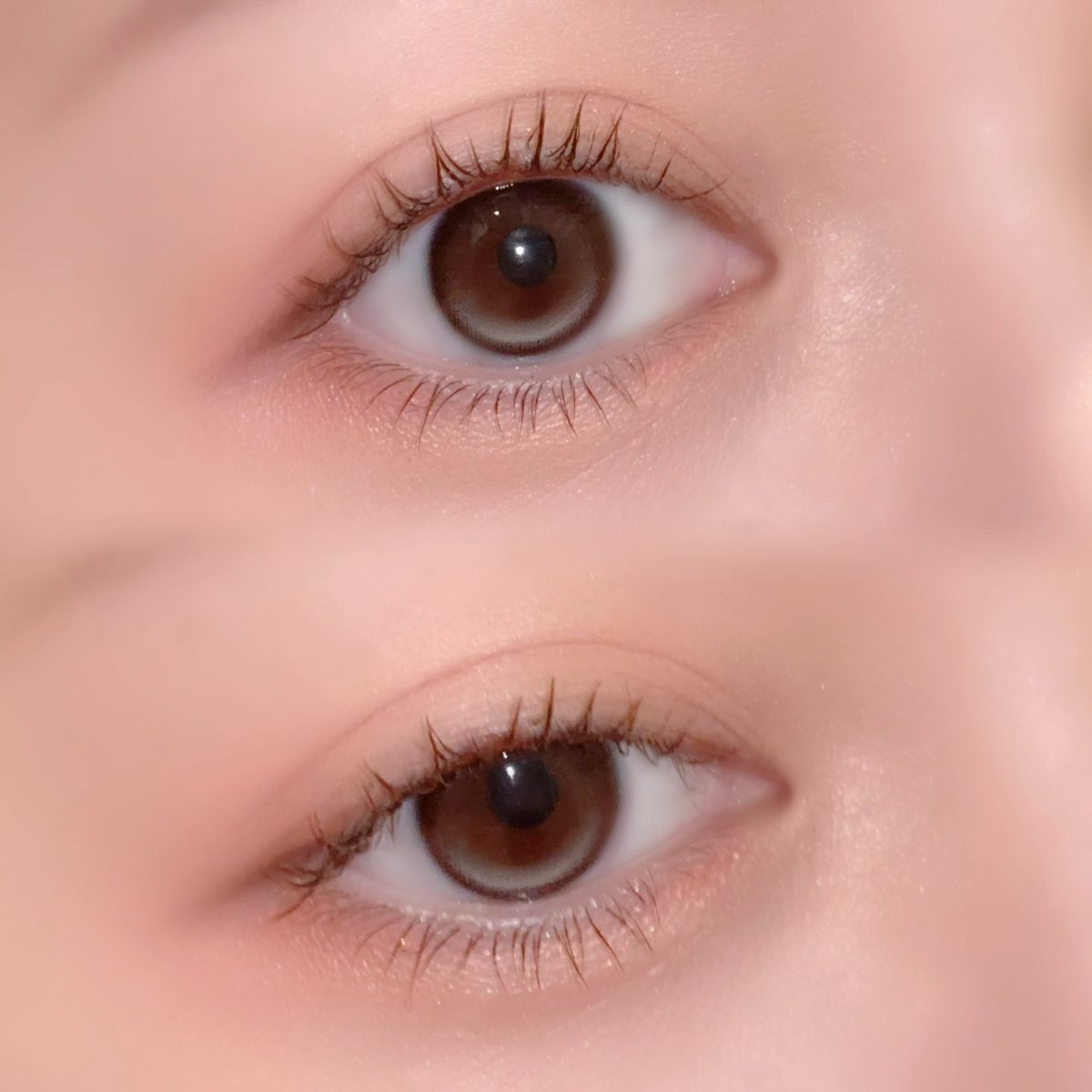 becoskin's tweet photo. WANAFの回らない水光カラコン
どっちも使ったから記録メモ📝

DIA 14.5mm / GDIA 13.10mm / BC 8.7
ごろつきにくいし自然に盛れるしイイ！

←ラスティングオークル
                              ラスティングパール→ https://t.co/uRq5B55TUI