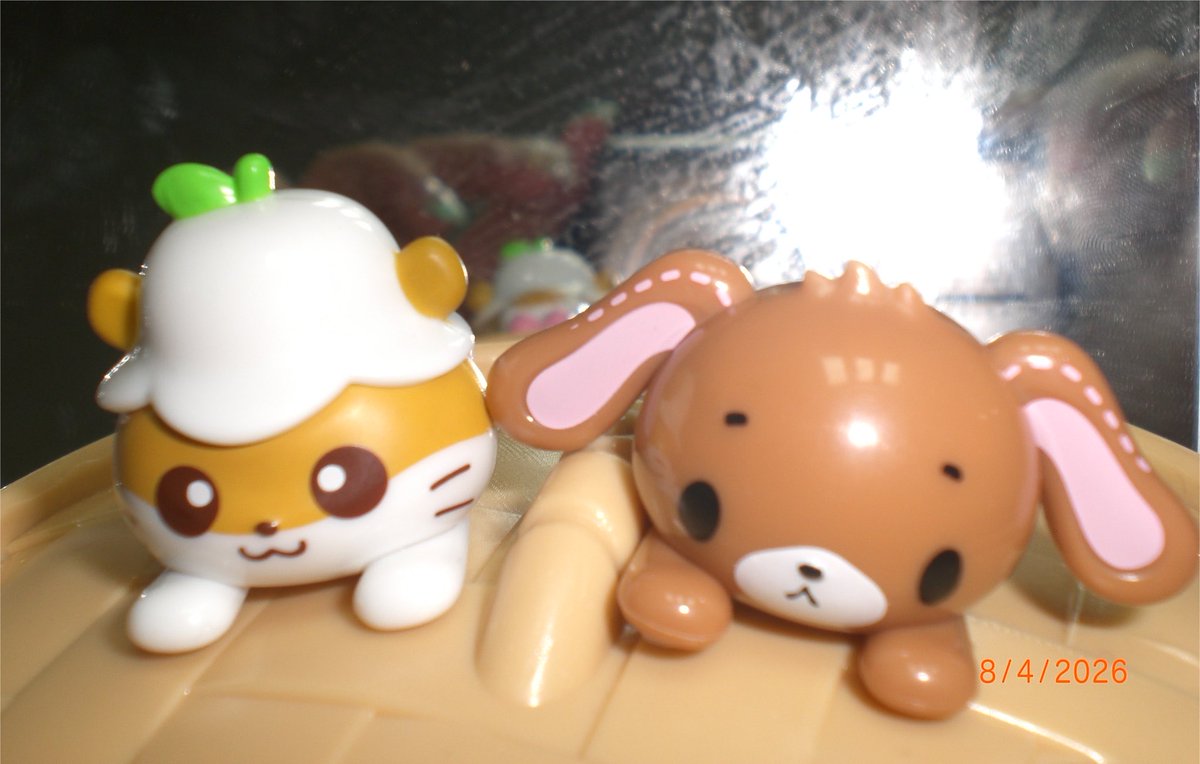 slowloning11's tweet photo. ⸝⸝⸝🤎 https://t.co/kkdzAz0jyO