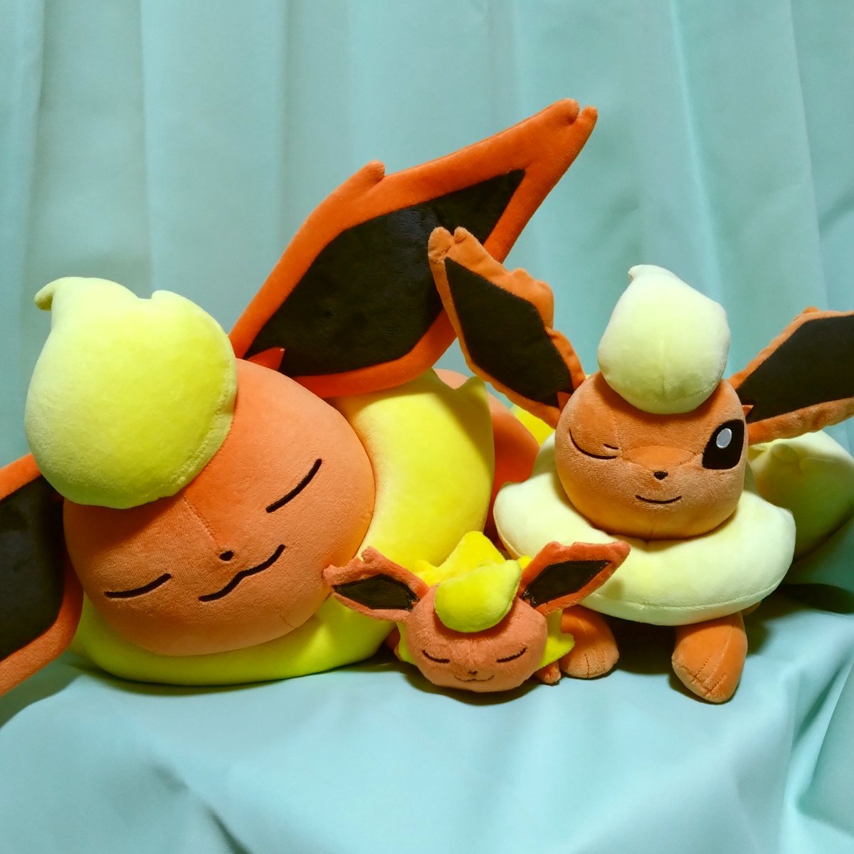 ポケモングッズ紹介 イーブイコレクション (@eievui_eevee) / Posts / X