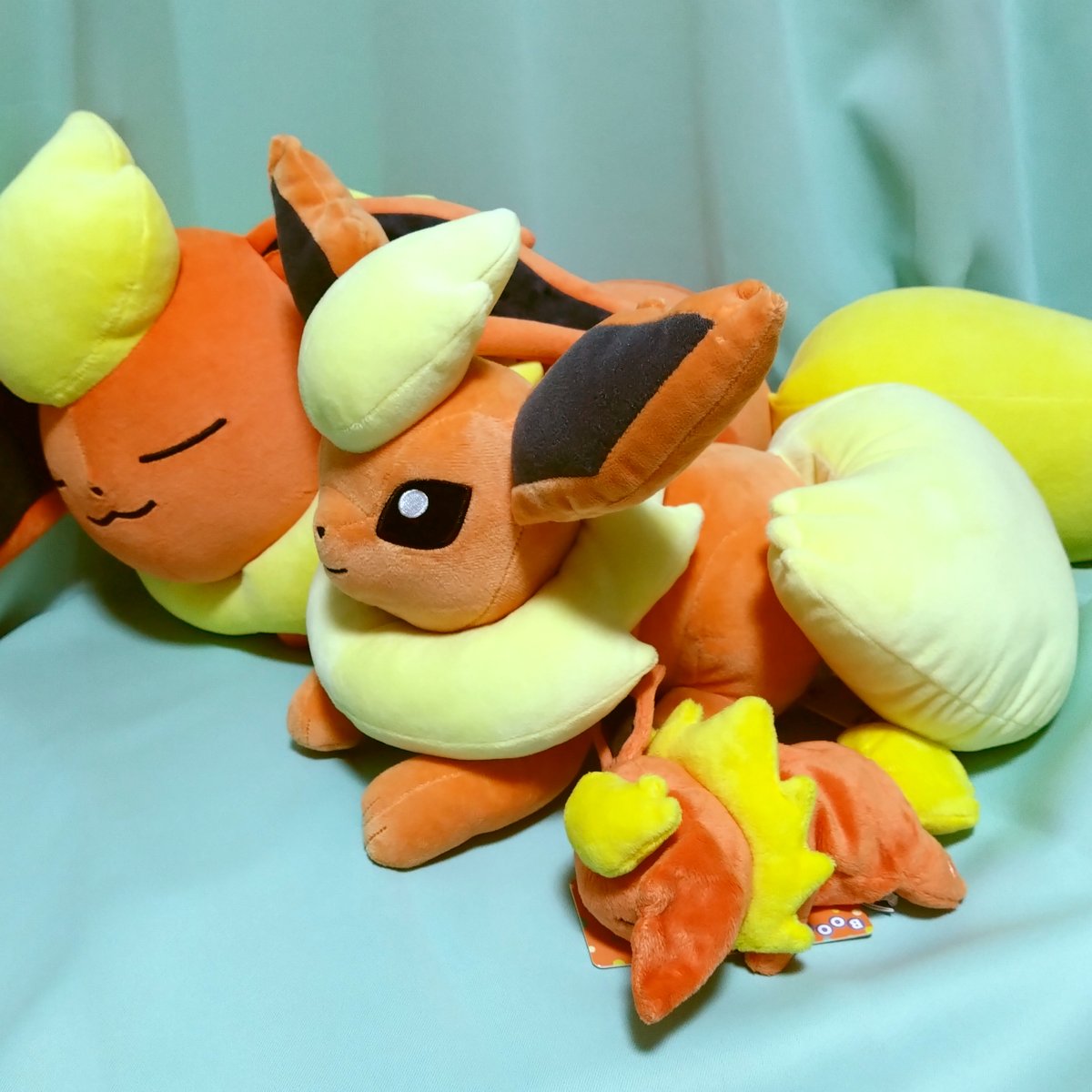 ポケモングッズ紹介 イーブイコレクション (@eievui_eevee) / Posts / X