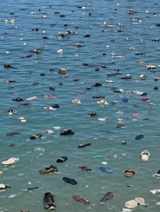 PatColon's tweet photo. Que solos se quedan los muertos.
Que tristeza de vidas que se quedan en el mar persiguiendo un sueño.
Mi más sentido pésame a las familias que hoy lloran desconsoladas la ausencia que dejan sus hijos.

A los comentarios de burlas sobre esto ,solo decir que el karma existe.
#MigrarNoEsUnCrimen
#NingunaPersonaEsIlegal
#OtroMundoEsPosible