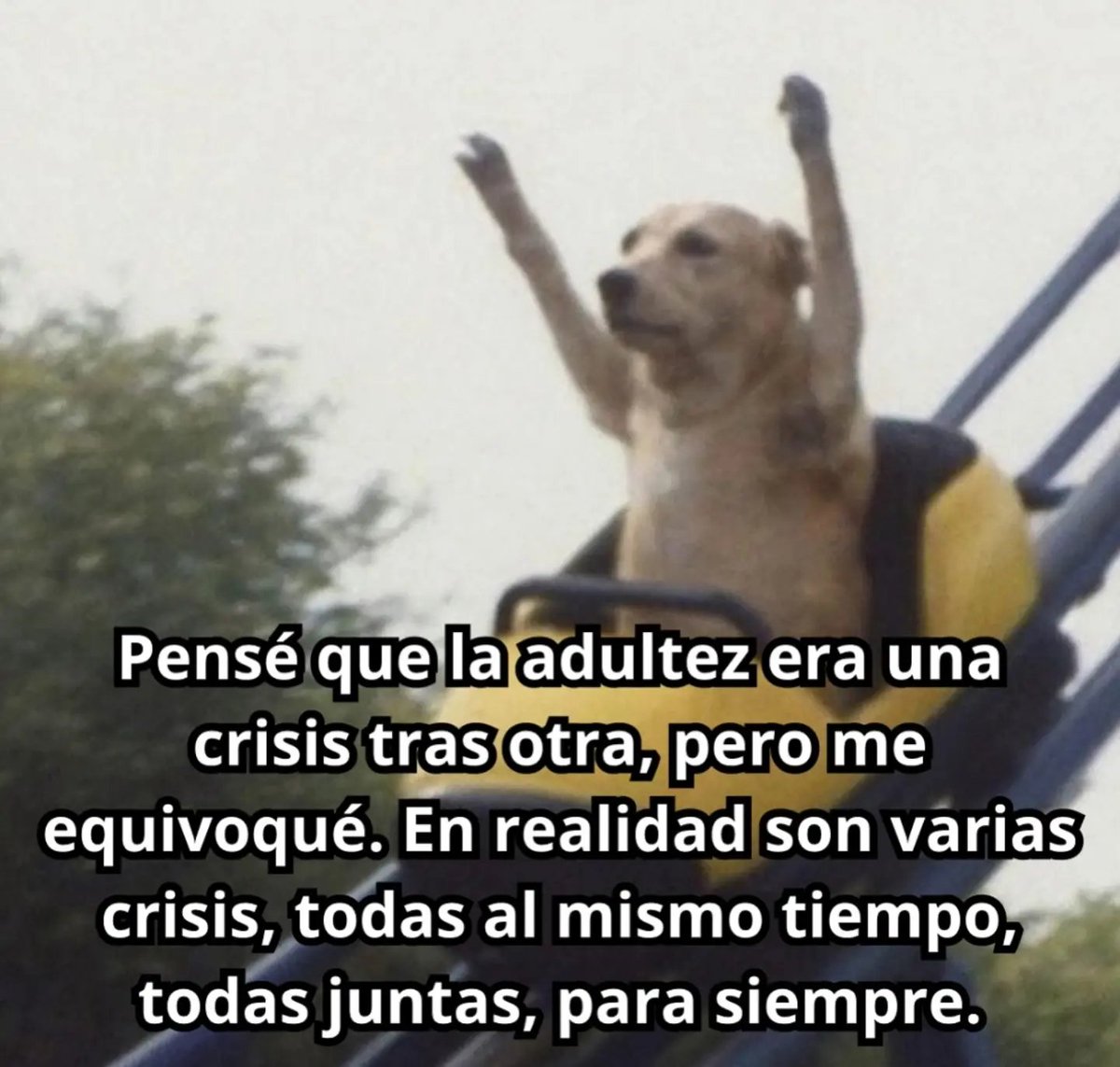 RincnCuriosoo's tweet photo. Ánimo, raza. https://t.co/BicjqyB7Hh