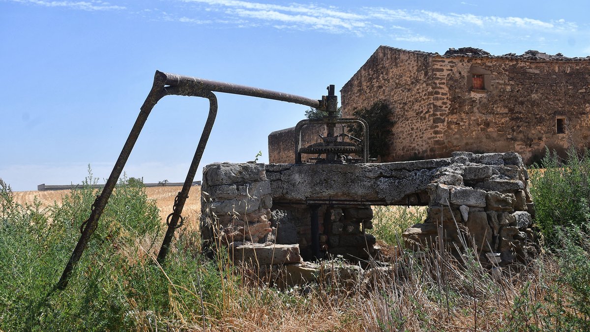 SomSegarra tweet picture