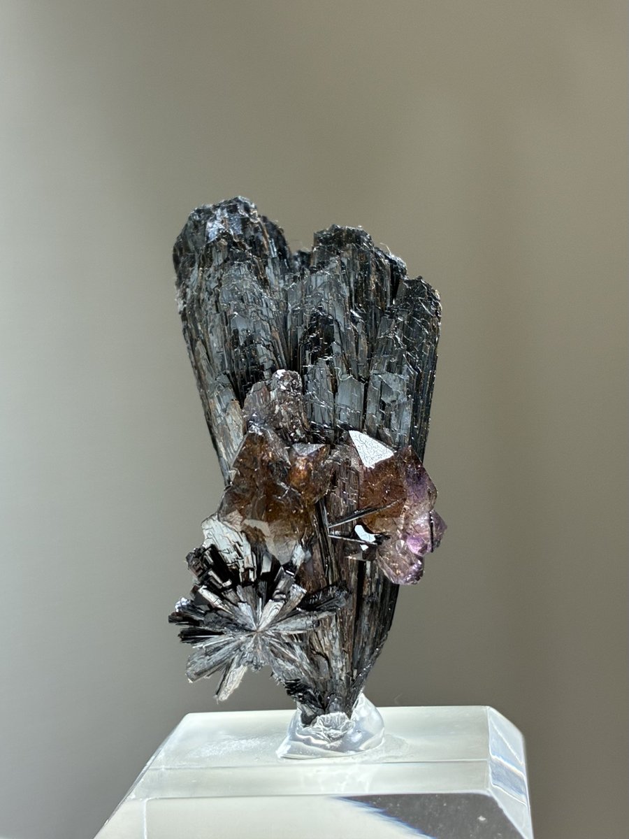 metal_to_isi's tweet photo. 造形の素晴らしい針鉄鉱と
鉄で染まったアメシスト✨🔥

Goethite Amethyst
Rosa Claim,Colorado,USA https://t.co/SK96deI55K