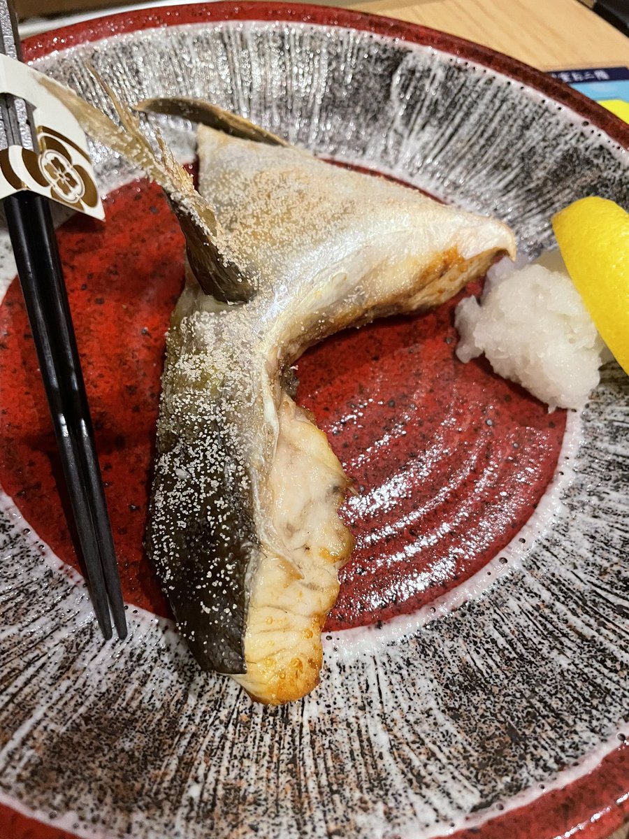 mukai1993's tweet photo. 福井ってご飯もお酒もレベルが高くてめっちゃ幸せだった。
海鮮おいしすぎた。。
息子もお魚好きだからパクパク食べてた〜👦❤️
1日目の夜ご飯はかなり贅沢でした✨ https://t.co/pNDMnzf2qt