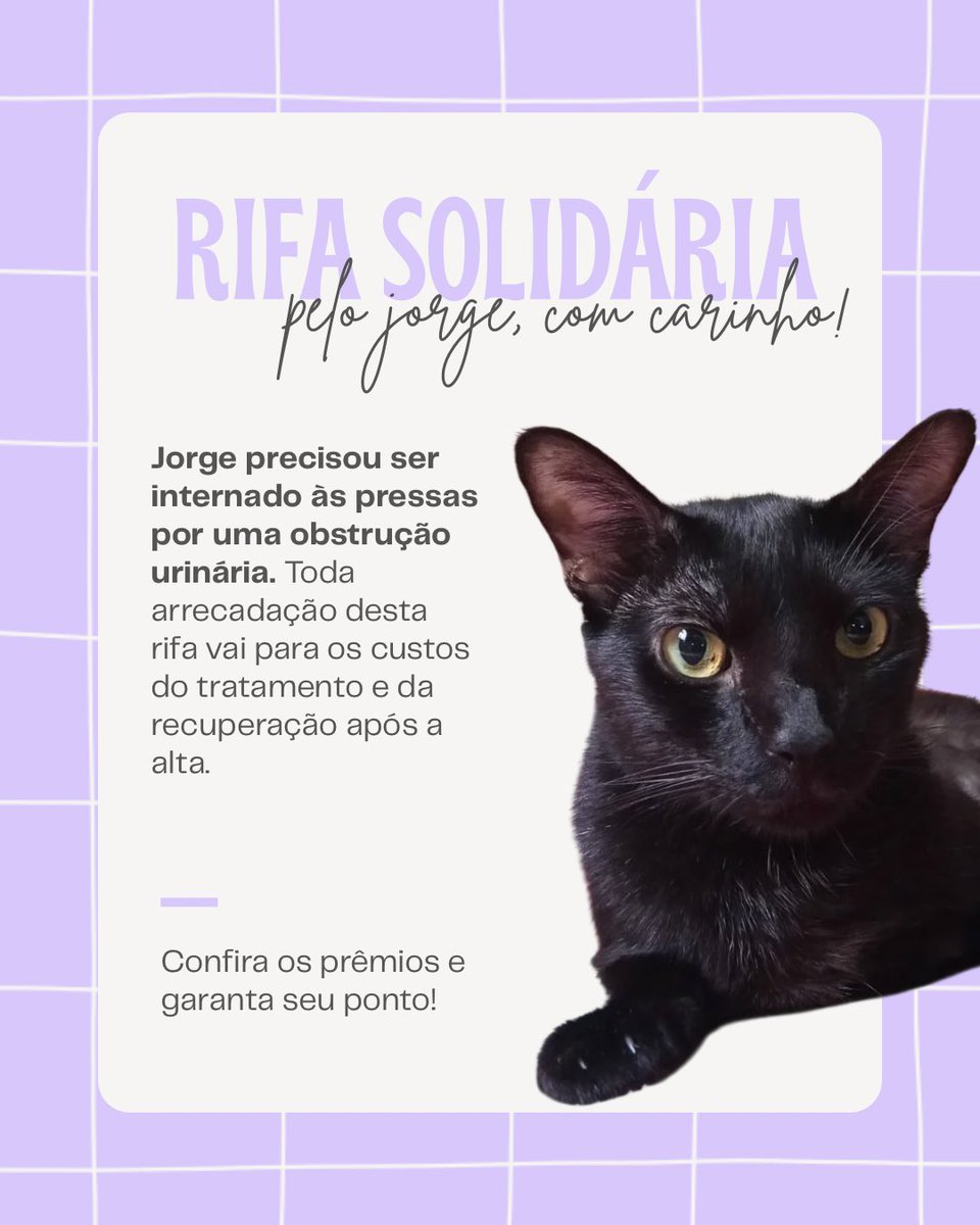 pintangar's tweet photo. oi gente, vim pedir a ajuda de vocês! o jorge teve uma obstrução urinária e foi internado. os custos ficaram altos e criamos uma rifa solidária pra ajudar, com 3 ganhadores (ensaio fotográfico, clash 100ml, floratta rose 75ml)

ajude compartilhando! ponto? chama na dm 💘🐈‍⬛ https://t.co/67WeLeaUSb