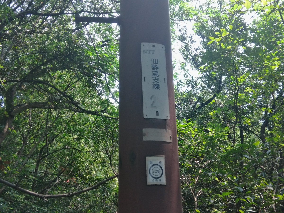 Zzpt_'s tweet photo. あんまりこっちにあげる事がないので
福山から尾道へ
しもむら2年生記念広島旅行なのです〜 https://t.co/LrlLPMkaa1