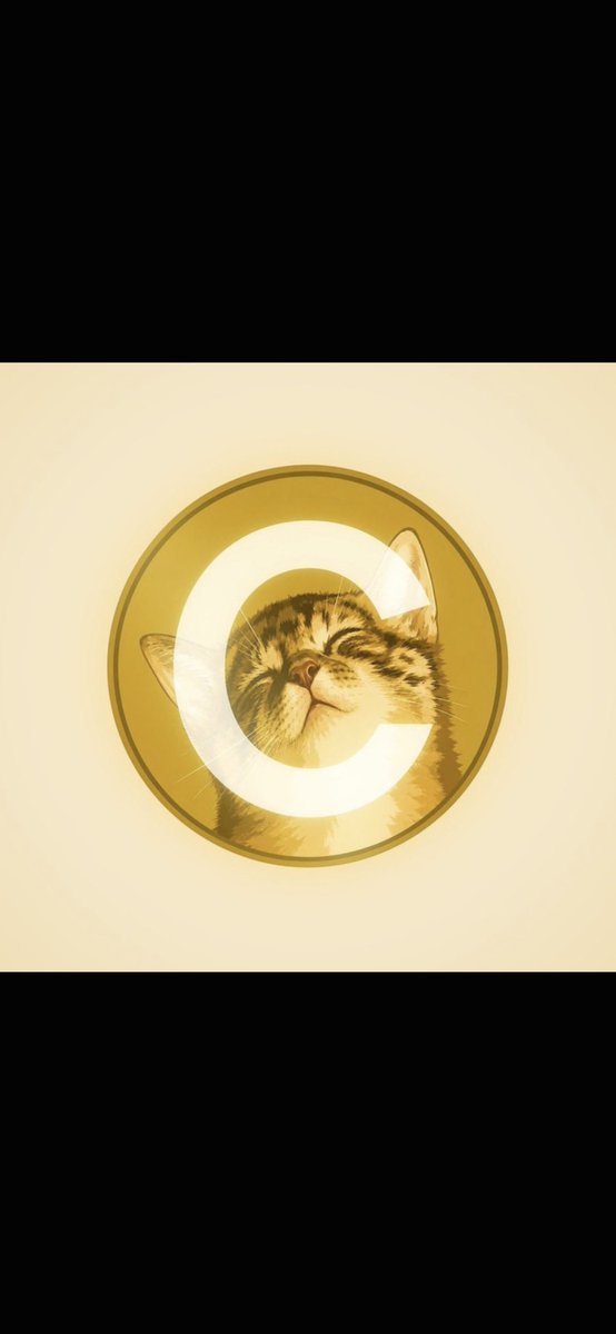 Oriell00's tweet photo. The strongest communities aren't built when everything is green.

They're built after the hard days.

Watching $CATE closely to see what comes next. 🐱📈

#CATE #Solana #Memecoin https://t.co/8yjiRX3ETL