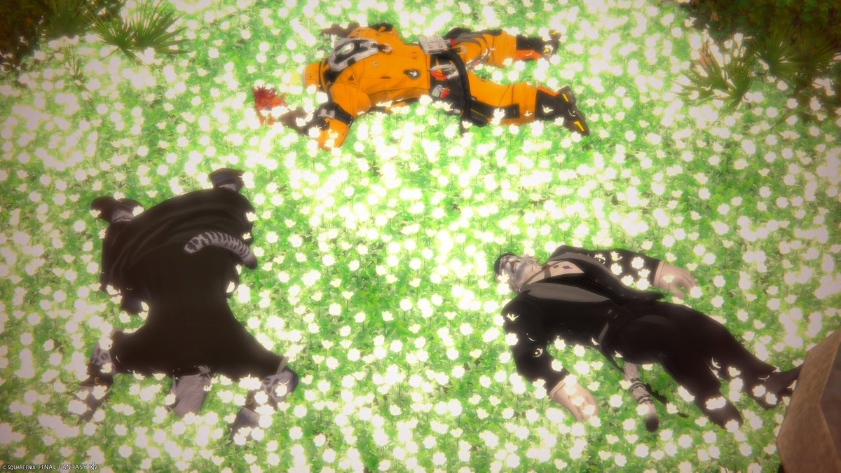 Ravil_FF14's tweet photo. 癒やされた😭
いつもありがとう https://t.co/OpUPbbALn3