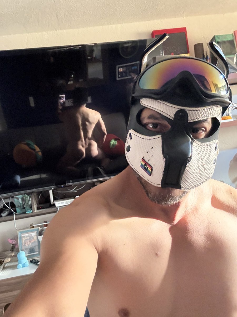 Thepupmike's tweet photo. Hey boy, what are you looking at? My eyes were up 😈🔥😏🥵🐶🐾

#gaypup #gaypuppy #puppyplay #pupplay #humanpup #humanpuppyplay #puppypride #gaypupplay https://t.co/wxXynidAWV