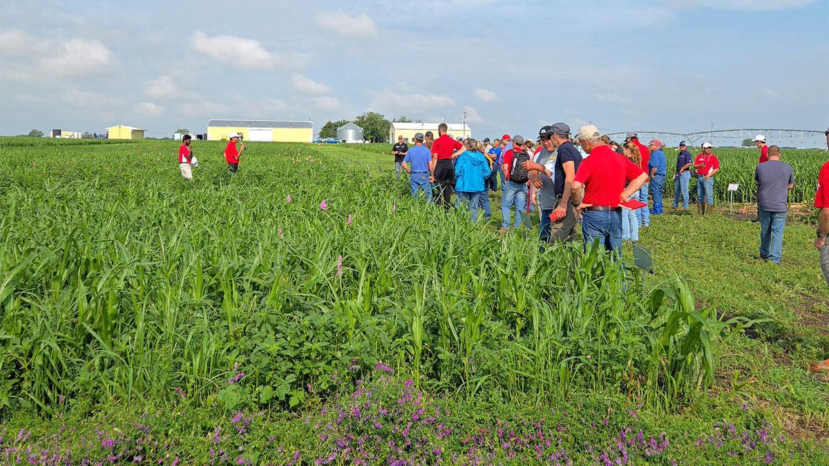 UNL_CropWatch's tweet photo. @UNLExtension's 2026 #WeedManagement Field Day showcased the latest research on #herbicide-resistant #weeds, precision spraying & integrated weed management. Learn more: https://t.co/72xAqZvGQ7
#NebExt #NebraskaAg #AgTwitter #CropProduction #Farming #Ag https://t.co/0BVJqDATk8