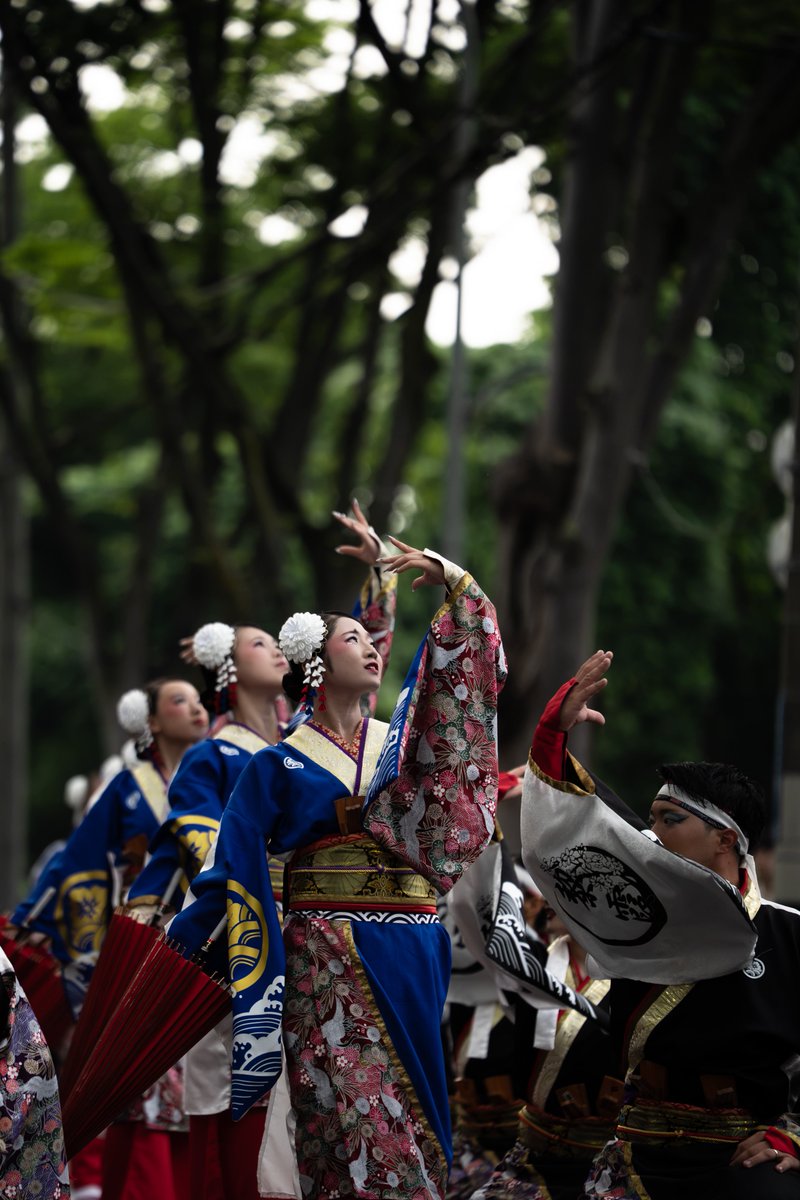syuutyaku's tweet photo. 黎霞さんは一振り一振りが美しい

#黎霞 
#彩夏祭 https://t.co/ORUeJTtFgd
