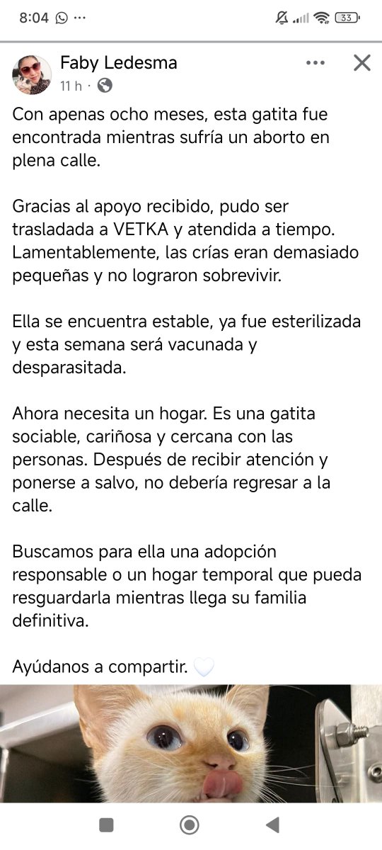 ile0719's tweet photo. Esta pequeña hermosa, busca un hogar. Si les interesa iniciar su proceso de adopción me mandan mensaje por favor.

#queretaro https://t.co/jsi78rt3Nj