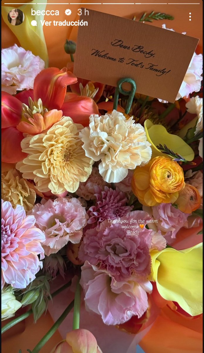 sofianoah319 tweet picture