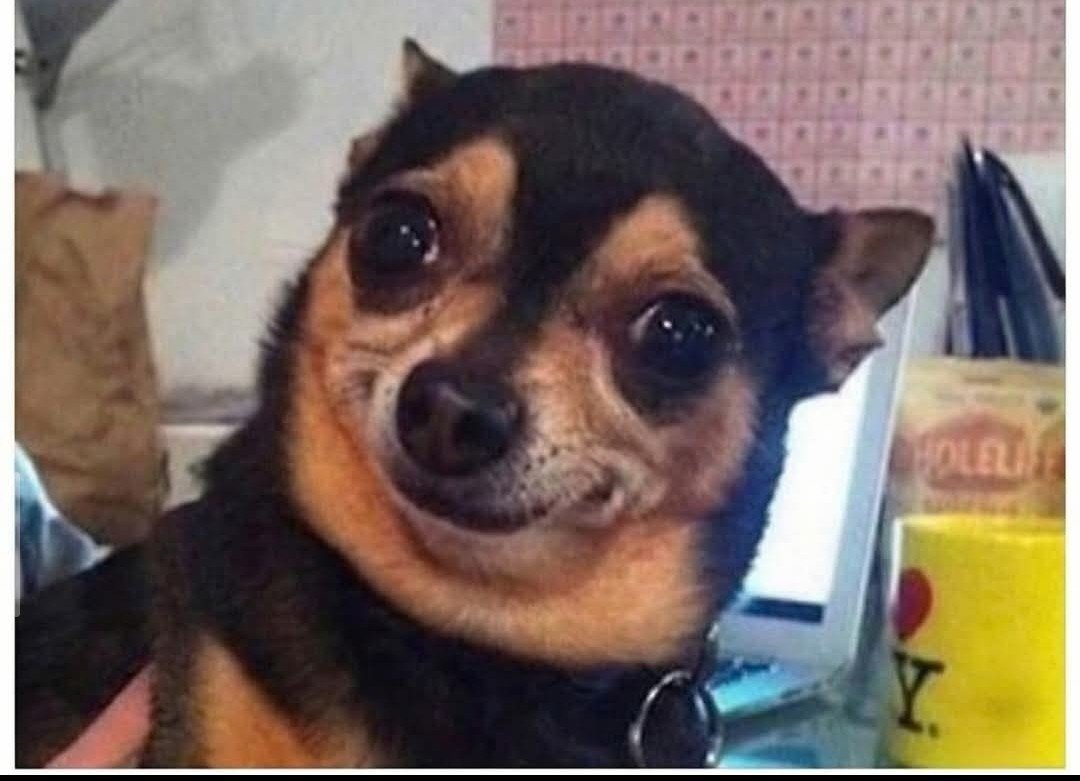 webdeveloper_NG's tweet photo. When there's a deep rage burning in you but you've to act nice because you are at work https://t.co/M3X0hXTdke