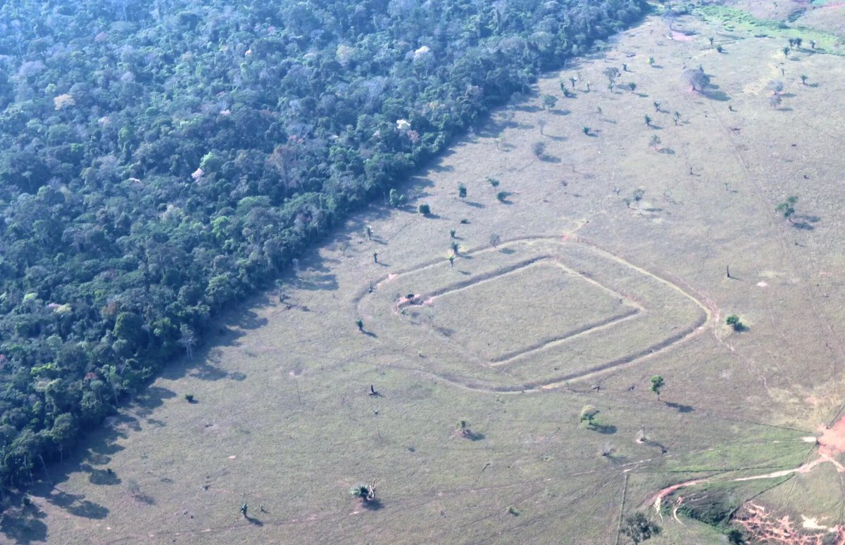 Polymarket's tweet photo. JUST IN: Nearly 400 previously unknown ancient earthworks discovered in the Amazon, suggesting a civilization of up to 3 million people. https://t.co/y1qkDk8qpM