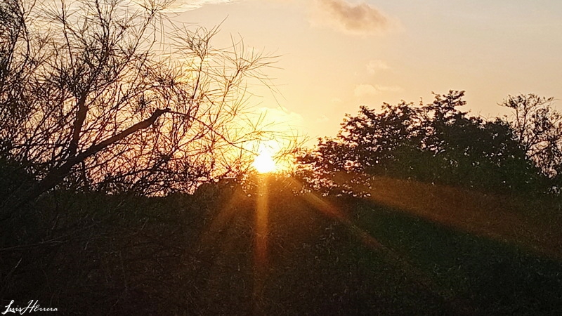 lrobertoherrera tweet picture