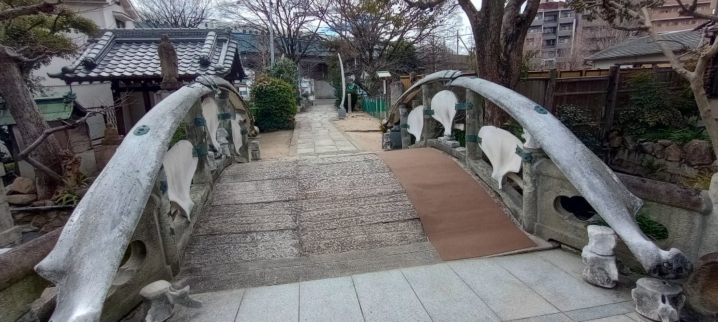 momoshima_jun's tweet photo. クジラの骨で出来た橋
#橋の日 https://t.co/SaGYV6tKeW