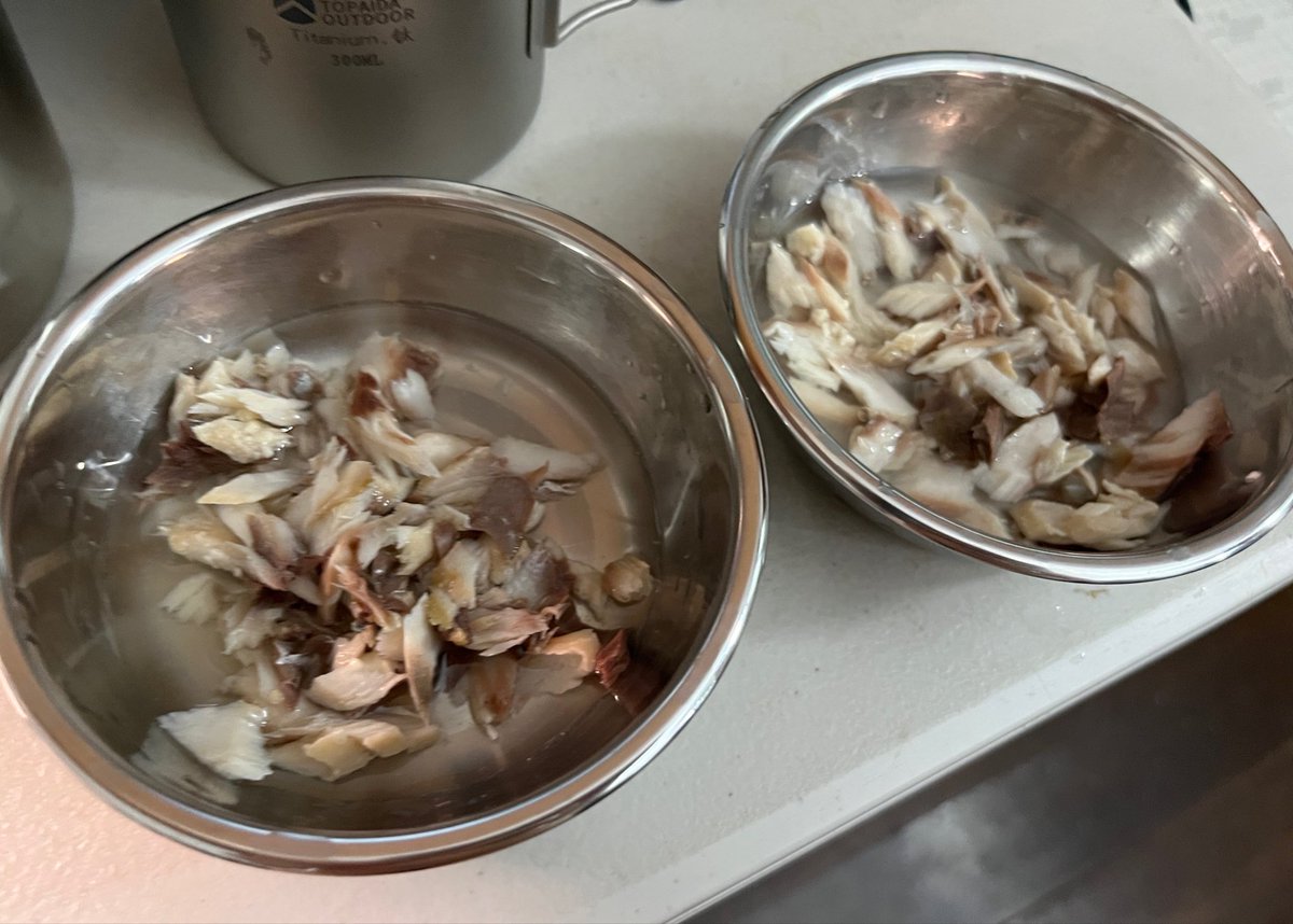 NekosimaYatai's tweet photo. 一起吃無調味無鹽台灣鯖魚 https://t.co/uqUVccVAQ0