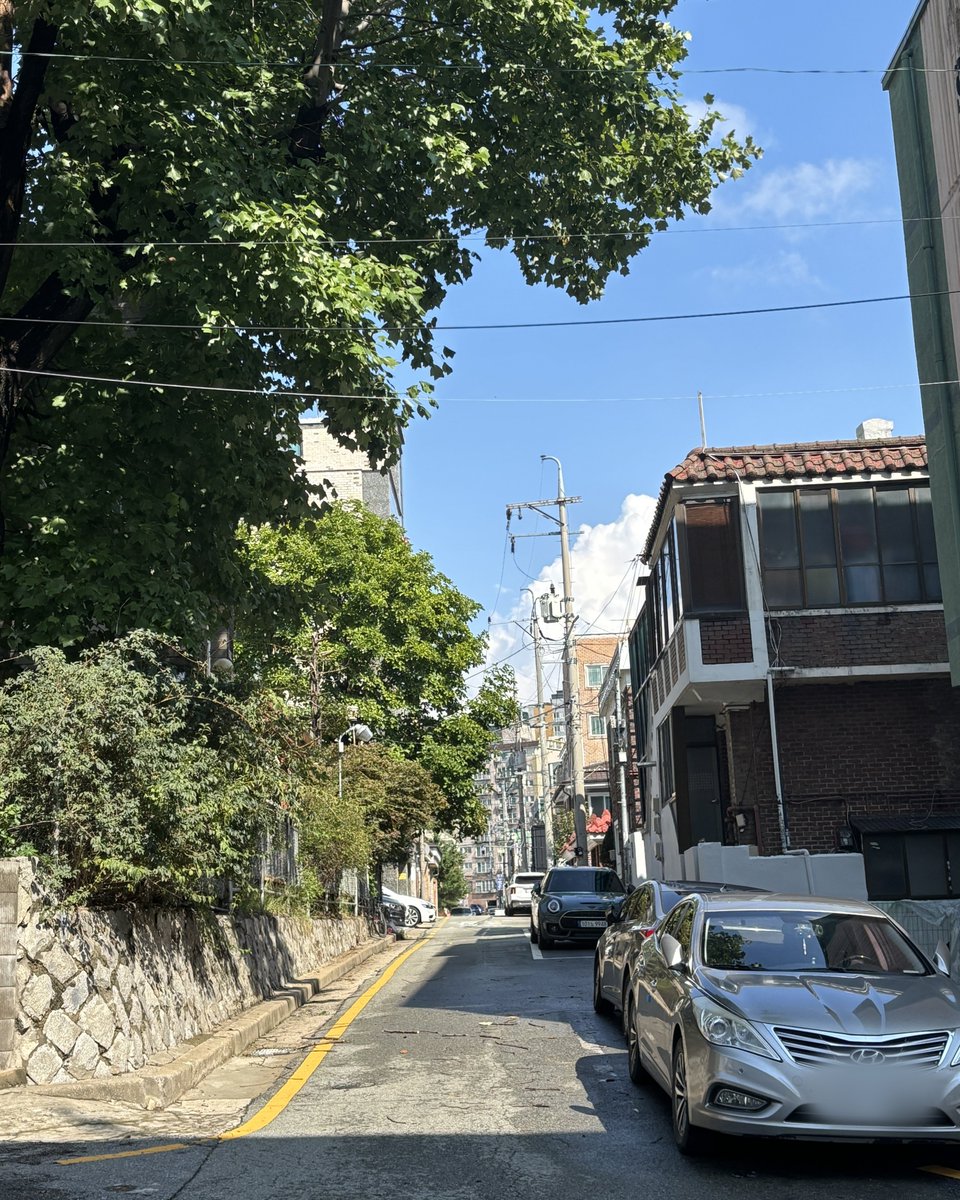 omoimana's tweet photo. 포토배싱까지는 아니지만 직접 찍은 사진을 편집해서 완성한 그림들
주로 사용한 기능: 2치화, 일러스트풍, 레벨 보정, 색역 선택, 그리고 무한히 덧칠하며 정리... https://t.co/f4yzFjdtNJ