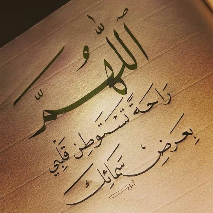 AlharbeyNoon's tweet photo. https://t.co/0T95CeYXOm