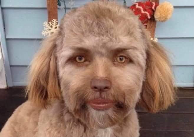 randooski_'s tweet photo. @eternal1te He has a wife and two kids leave him alone! https://t.co/NIKwNlLWHn