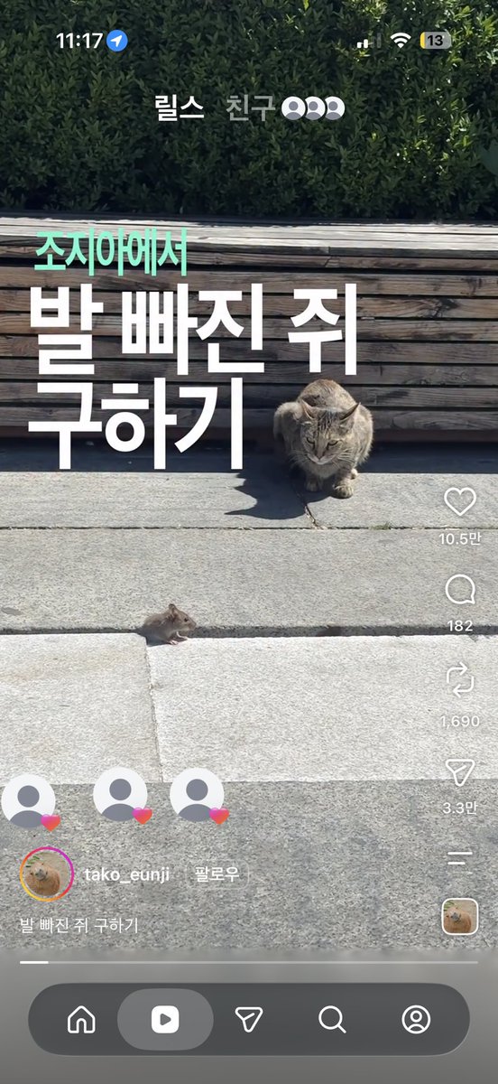 Cyno7241's tweet photo. 에코…? https://t.co/hbPBPzf7M8