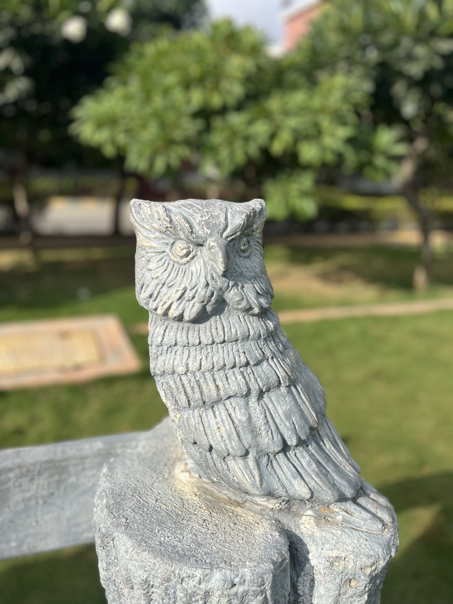 SmarikaManhas's tweet photo. Whatever you seek will find you if it’s supposed to .. 
All you have to do it put all your effort in whatever you are doing.. 
sometimes it occurs that everything is predestined.. it’s all about the right time..🧿🙏 https://t.co/YSvMoX6gN0