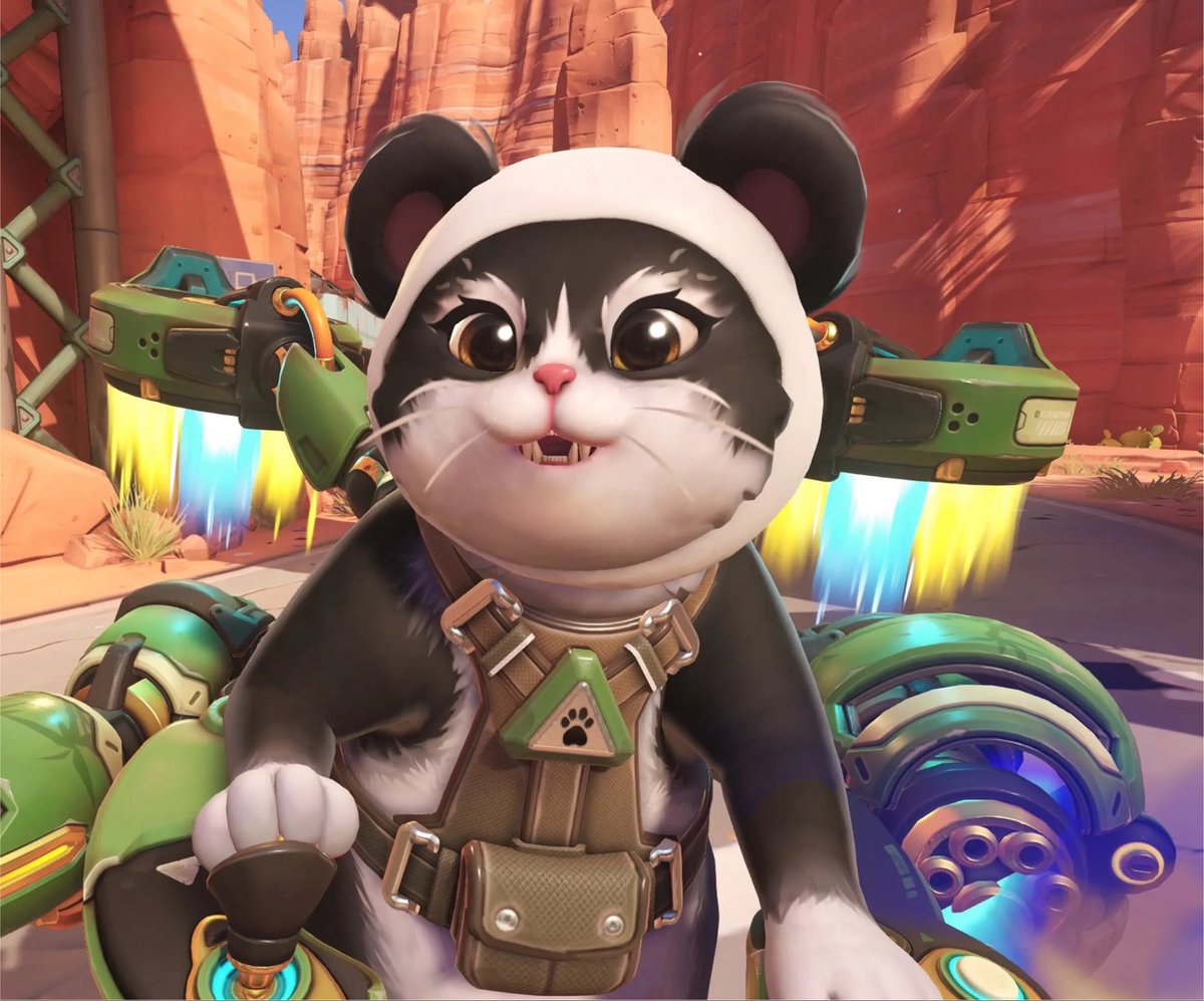 jetpackcatt's tweet photo. meowww! 😻🐾 #owtwtsd https://t.co/lsYmws3GlH