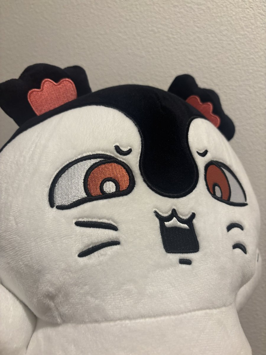 w_cat_al's tweet photo. 新しい仲間 https://t.co/QqVLAbN0Gz