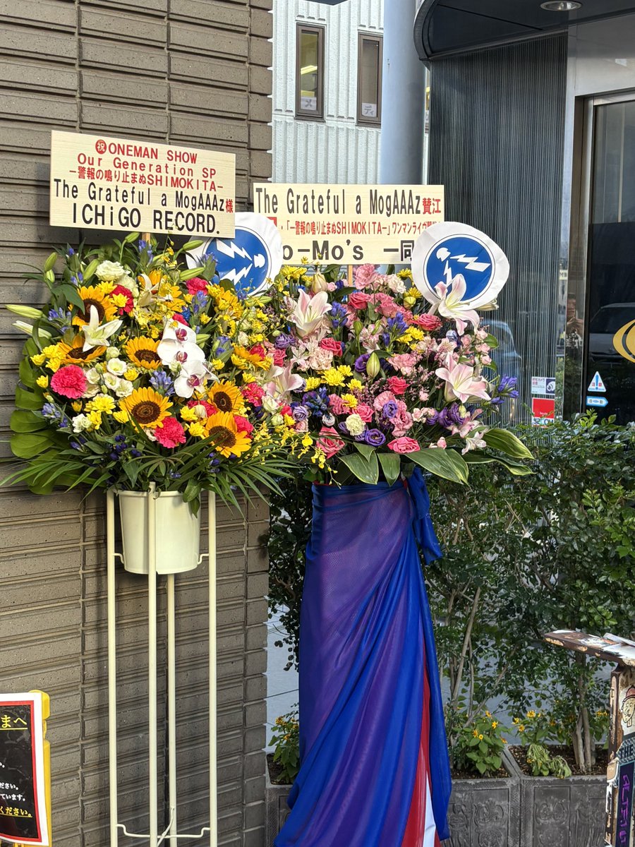 tanmen5123's tweet photo. ライブ終わりで名前に「朗らか」も戻ってきました！
3枚目は激しすぎて楽しすぎるライブの結果、破壊された眼鏡です（一昨日ぶり2本目）

#0804警報の鳴り止まぬ下北 https://t.co/NVVWFVovpv