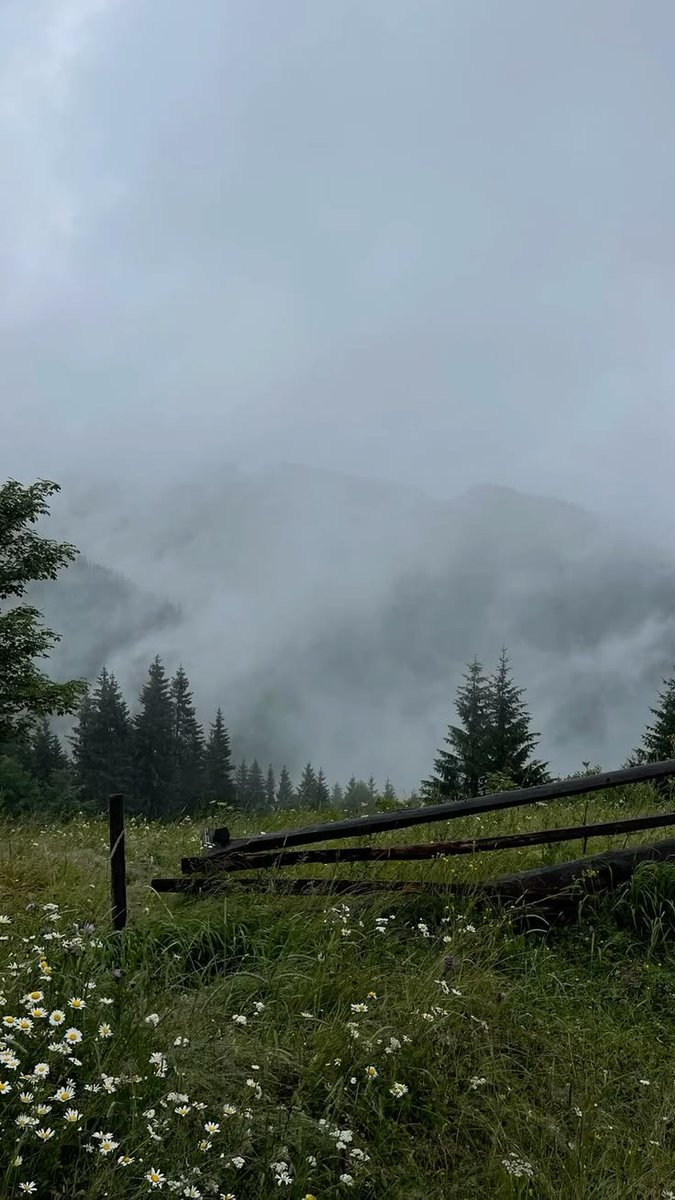 elemmiressoul's tweet photo. perfect weather. https://t.co/aS4GN1Lg9S