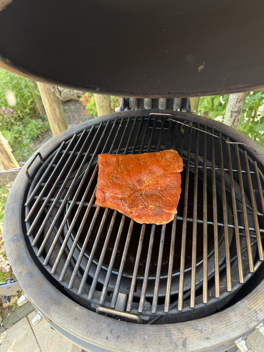 EddeHeus's tweet photo. #WhatIsOnTheBBQ #buikspek https://t.co/z2aEKN3KIO