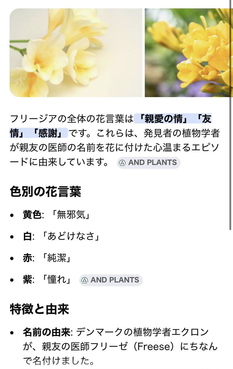 frez1a's tweet photo. アカウント名の由来は、りょうちゃんはフリージアが似合うな〜とずっと思っていたからです https://t.co/aQP5plkjXv