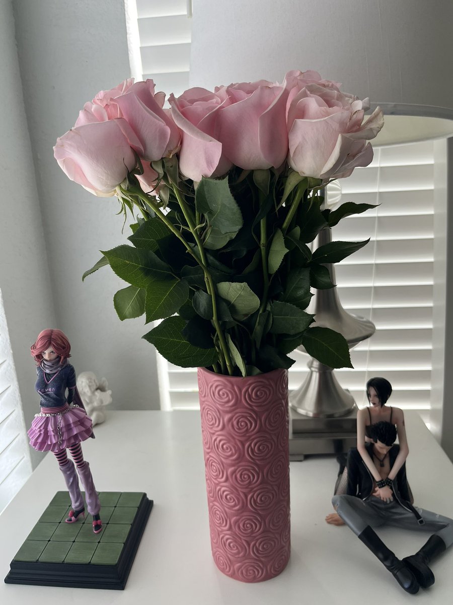 aeritheavenly's tweet photo. pink roses for #nationalgfday ๐๐น ft our nana figures! https://t.co/SrAT3Yjn6z