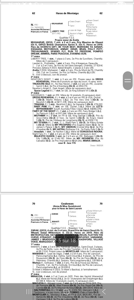 Flo_Turf's tweet photo. Mes reperes pour la vente yearlings d'août à Deauville https://t.co/lZnp2wf0yz