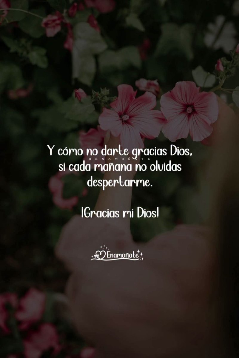 GuadalupeQMora's tweet photo. https://t.co/RKnTBuupoD