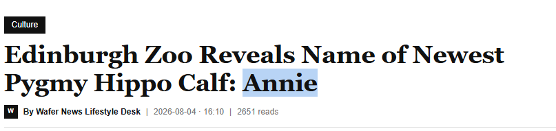 DellyTheDev's tweet photo. The pigmy calf just got named, and they choose "Annie" to be the name of pigmy.

https://t.co/znwnAwT1pq https://t.co/M4MGrXogNo