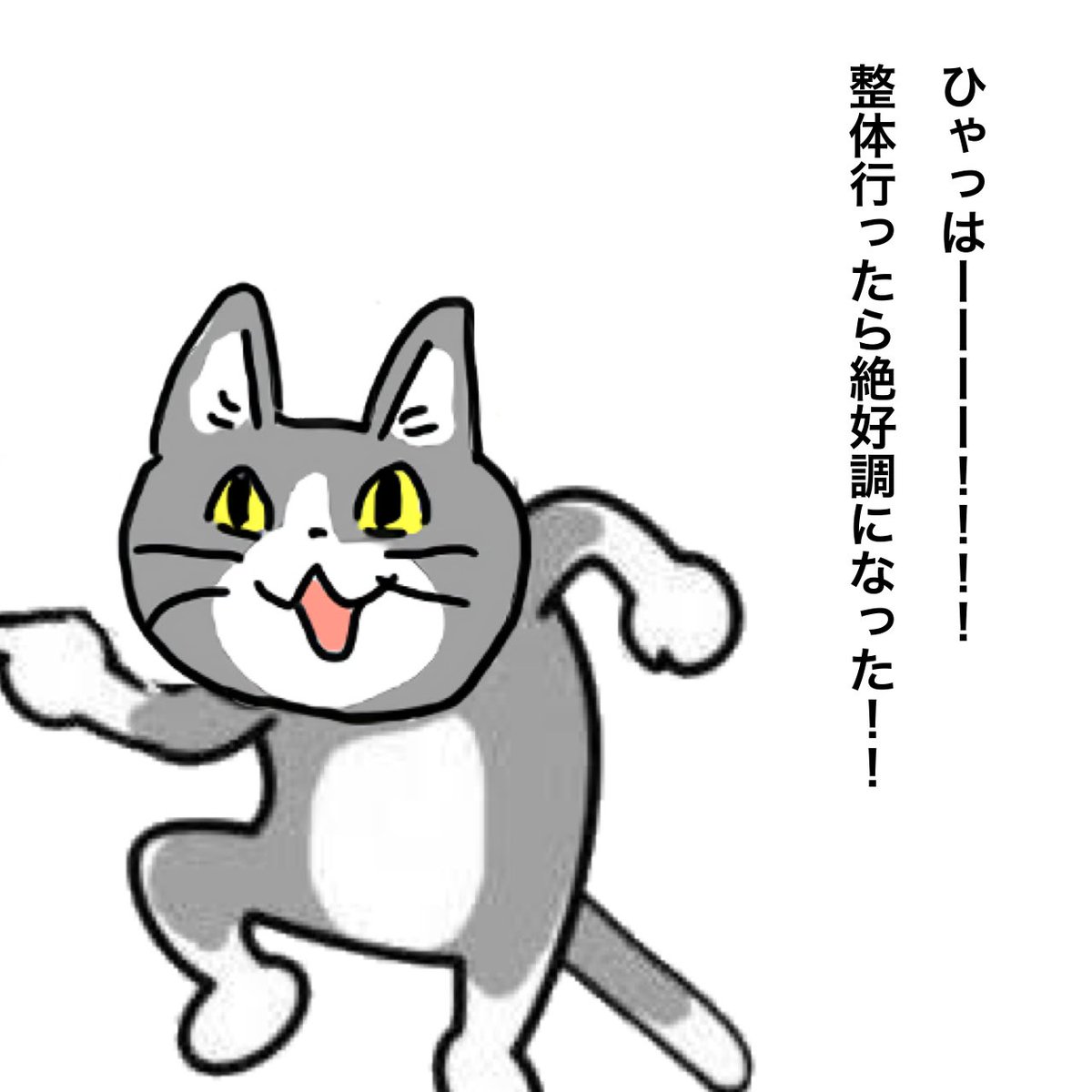 homecenterneko's tweet photo. #現場猫
#ホームセンター従業員の叫び
整体は大事 https://t.co/Pu89vHW2SJ