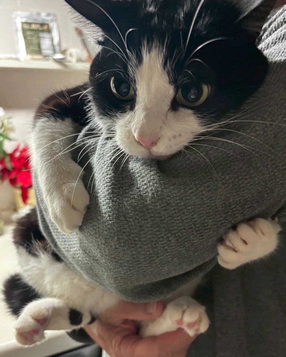 crsfrk's tweet photo. @stlettoz i think his other mom has issues too and i do as well but he’s very kind and accepting https://t.co/XFFQsPkS83