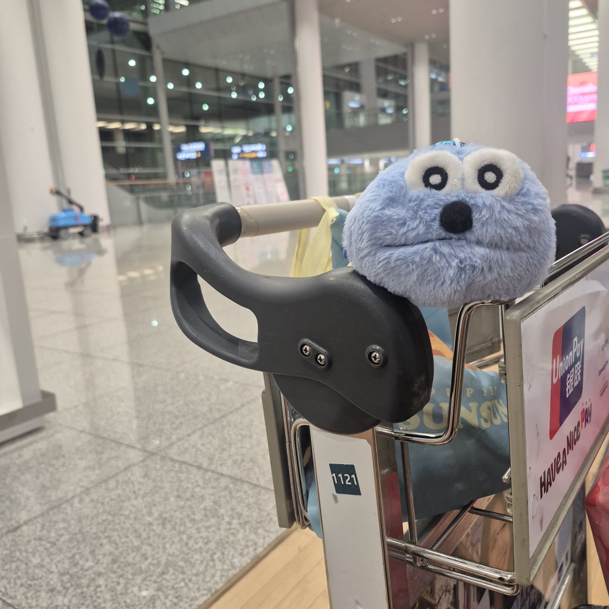 dangpakun's tweet photo. 無事帰国！車探すの待たなきゃね. https://t.co/yZZ569I6F7