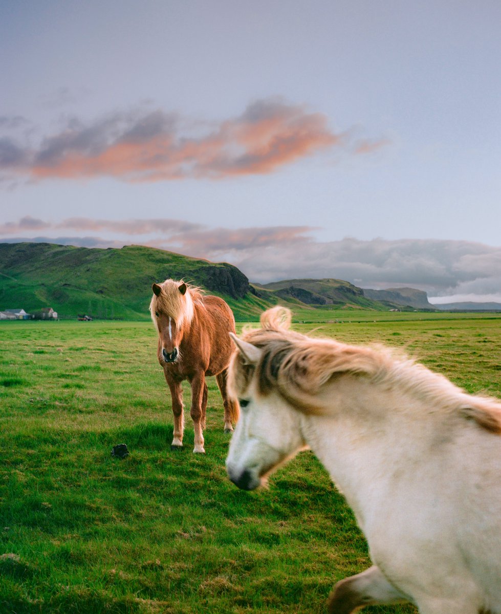 AlexKittoe's tweet photo. Iceland on 120 film 🎞️ https://t.co/3OVOUhrhsm
