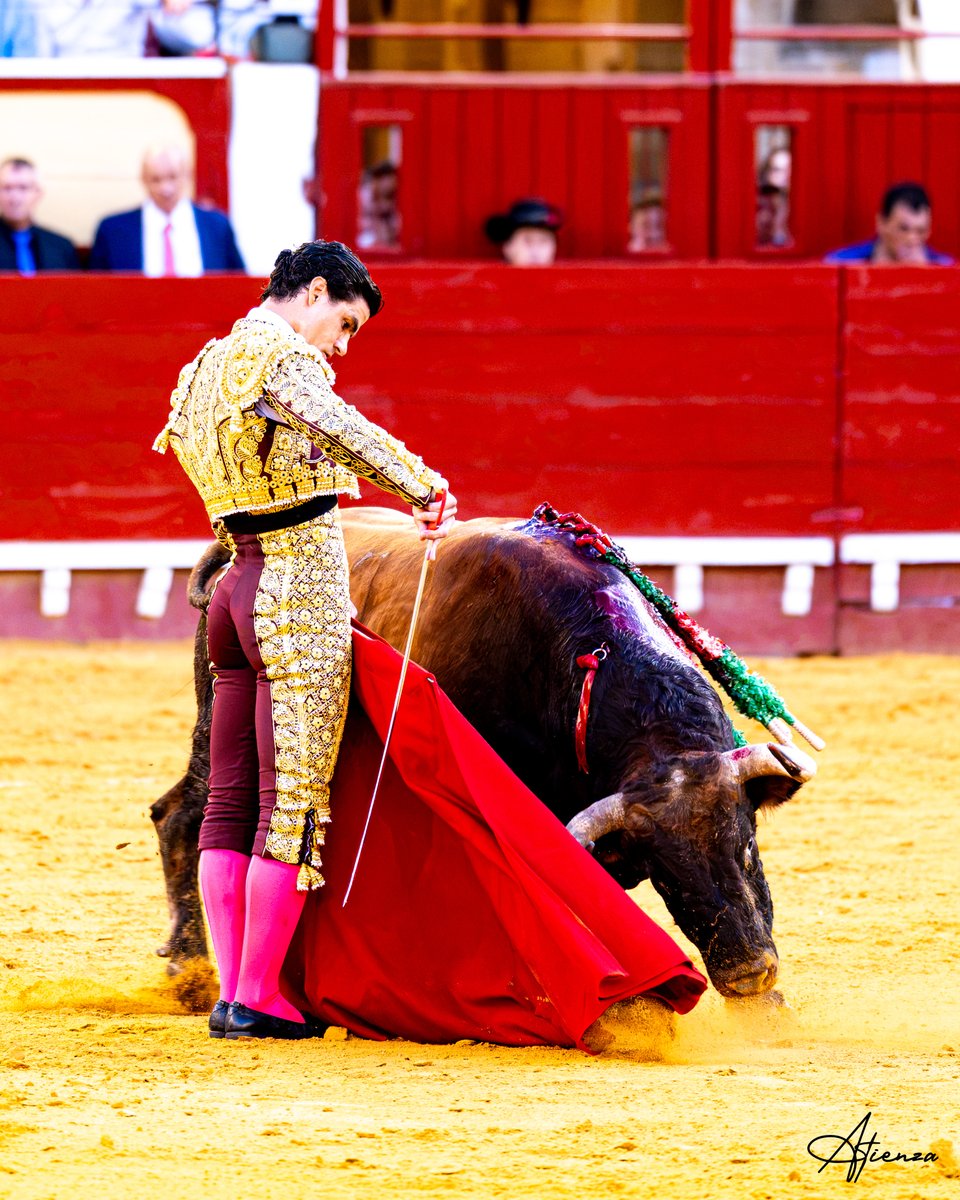 Atienza_Edu's tweet photo. 📸 • Pablo Aguado. El Puerto de Santa María 2026.
•
•
•
Fotografías originales de Edu Atienza.
@pabloaguadocom 
@CTPabloAguado 
@CircuitosToros 
#Toros #Cultura #Cádiz https://t.co/u3aoFURMnF