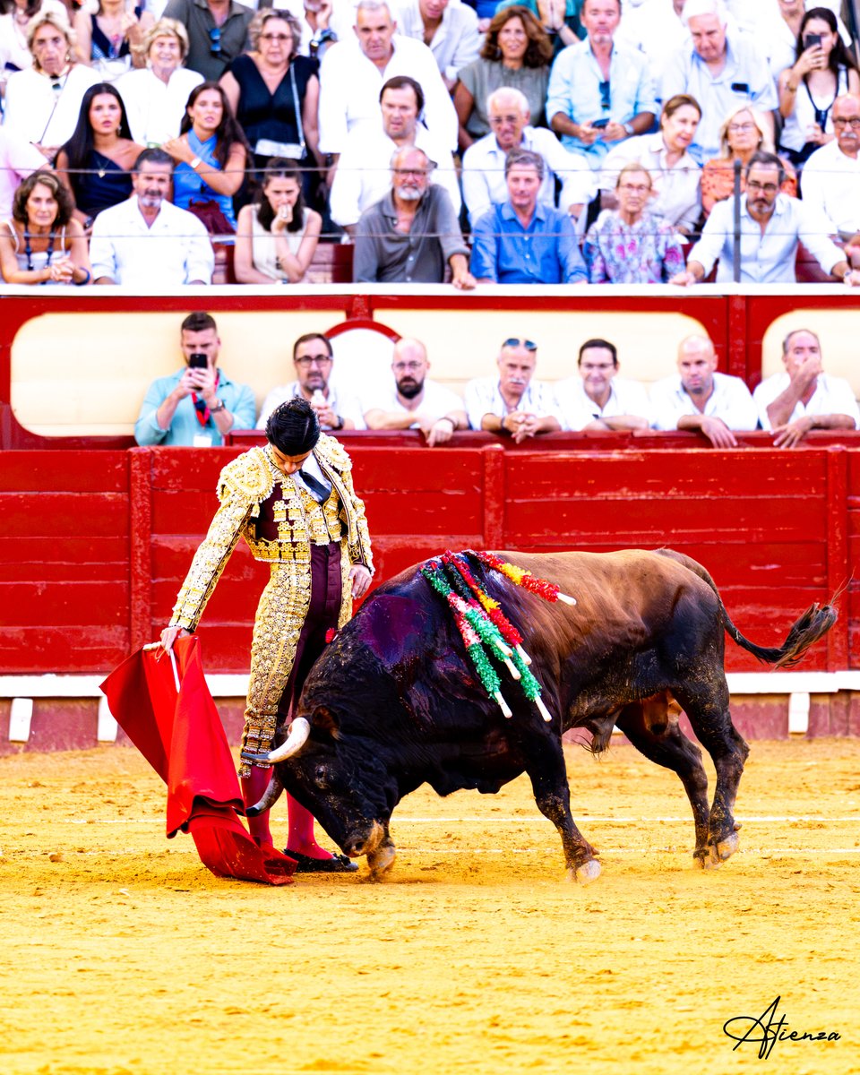 Atienza_Edu's tweet photo. 📸 • Pablo Aguado. El Puerto de Santa María 2026.
•
•
•
Fotografías originales de Edu Atienza.
@pabloaguadocom 
@CTPabloAguado 
@CircuitosToros 
#Toros #Cultura #Cádiz https://t.co/u3aoFURMnF