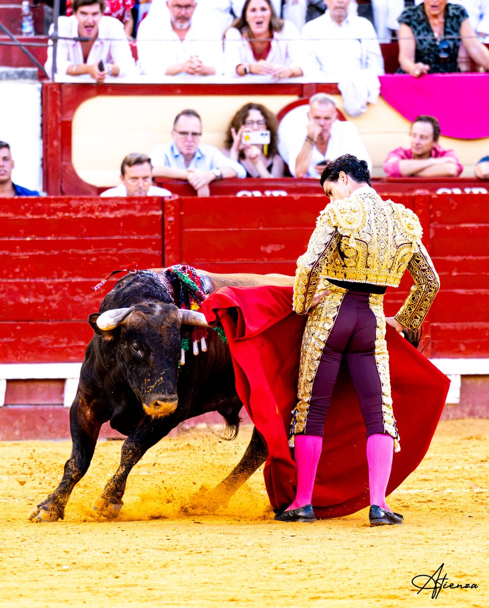 Atienza_Edu's tweet photo. 📸 • Pablo Aguado. El Puerto de Santa María 2026.
•
•
•
Fotografías originales de Edu Atienza.
@pabloaguadocom 
@CTPabloAguado 
@CircuitosToros 
#Toros #Cultura #Cádiz https://t.co/u3aoFURMnF