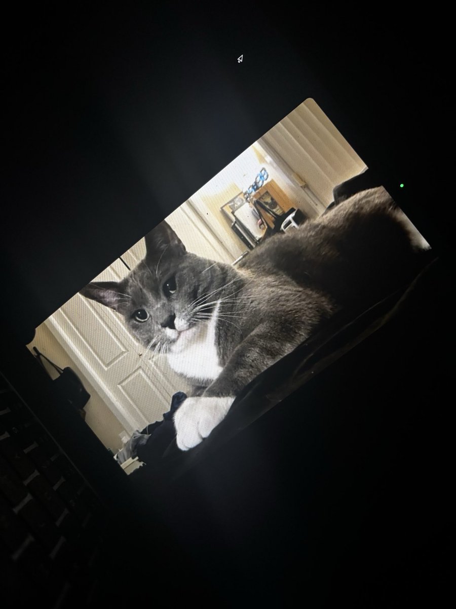 mae0ww's tweet photo. i’m so homesick rn https://t.co/qcG3ryqCb0