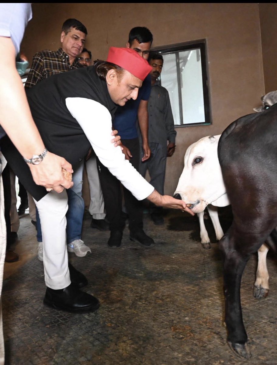 doc_ashish23's tweet photo. #गौमाता_राष्ट्रमाता

भगवान श्री कृष्णवंशज, अखिलेश यादव जी सच्चे सनातनी बड़ी जिम्मेदारी उठा लिए हैं।

यादव जी ने  ने घोषणा किया है, 2027 में सरकार बनवाइए गौ माता की रक्षा हम करेंगे।

गौमाता की अहमियत एक यादव ही समझ सकता है। इनका तो गाय से पुराना नाता है।

Protect Cows , Gau Mata https://t.co/fNn8XshIhs