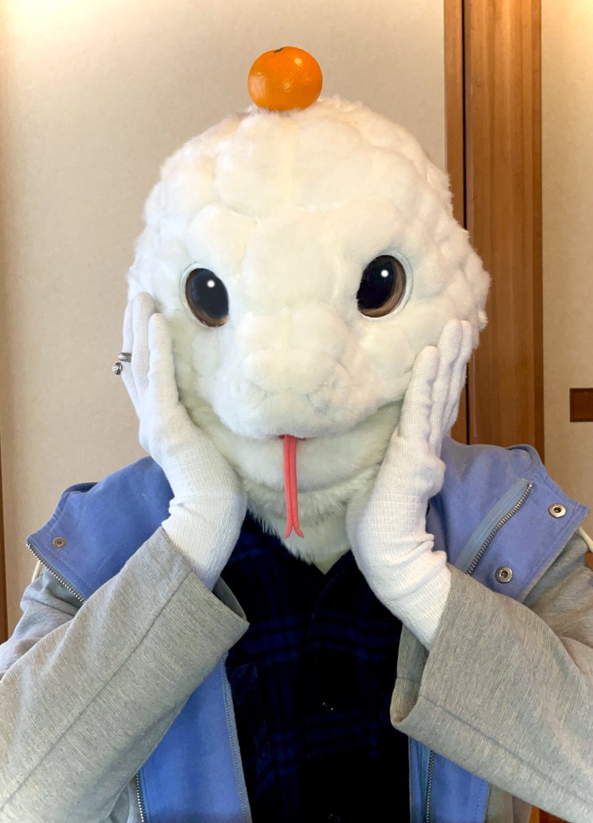 SoW_Snake's tweet photo. ﾓﾁﾓﾁ…🐍
#白ヘビのそ〜くん 
#CHOPS #超獣一華 https://t.co/XwWbZQklPq