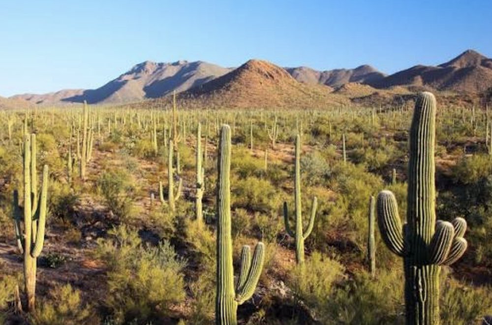 StoriesBySammi's tweet photo. The Tucson Basin aquifer takes centuries to refill. It's now approved for 31 million gallons a year, forever, for an AI data center.

Two supervisors took campaign checks from a land developer with a stake in the deal. Fourteen months later, those same two supervisors cast the deciding votes to approve the land sale, 3-2.

Seven weeks after that, the city council voted 7-0 to block it. No water. No annexation. Nothing.

It didn't matter, because city water and groundwater aren't decided the same way. City water needs a council vote. Groundwater just needs a state agency to check a box on a form, no public vote required, no matter how many people show up.

So residents won the only vote they were ever given, and the developer simply used the water source that was never up for a vote at all.

The contractor also used over 500,000 gallons of city water without permission for dust control, then got caught anyway, dust crossing the property line on two separate days. Fines up to $10,000 a day are legal here. The county charged them nothing.

And here's what residents never got to weigh in on until it was too late: the county had been quietly negotiating this deal since 2022, three full years before the public ever knew it existed.

They won seven to zero, and it changed nothing underground.

How do you lose a fight you already won?

🦋 HumanityUnited #DemsUnited