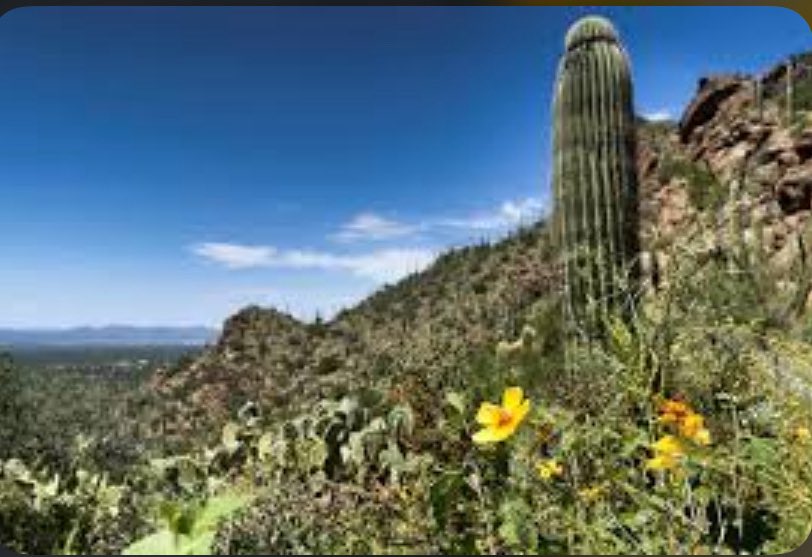 StoriesBySammi's tweet photo. The Tucson Basin aquifer takes centuries to refill. It's now approved for 31 million gallons a year, forever, for an AI data center.

Two supervisors took campaign checks from a land developer with a stake in the deal. Fourteen months later, those same two supervisors cast the deciding votes to approve the land sale, 3-2.

Seven weeks after that, the city council voted 7-0 to block it. No water. No annexation. Nothing.

It didn't matter, because city water and groundwater aren't decided the same way. City water needs a council vote. Groundwater just needs a state agency to check a box on a form, no public vote required, no matter how many people show up.

So residents won the only vote they were ever given, and the developer simply used the water source that was never up for a vote at all.

The contractor also used over 500,000 gallons of city water without permission for dust control, then got caught anyway, dust crossing the property line on two separate days. Fines up to $10,000 a day are legal here. The county charged them nothing.

And here's what residents never got to weigh in on until it was too late: the county had been quietly negotiating this deal since 2022, three full years before the public ever knew it existed.

They won seven to zero, and it changed nothing underground.

How do you lose a fight you already won?

🦋 HumanityUnited #DemsUnited